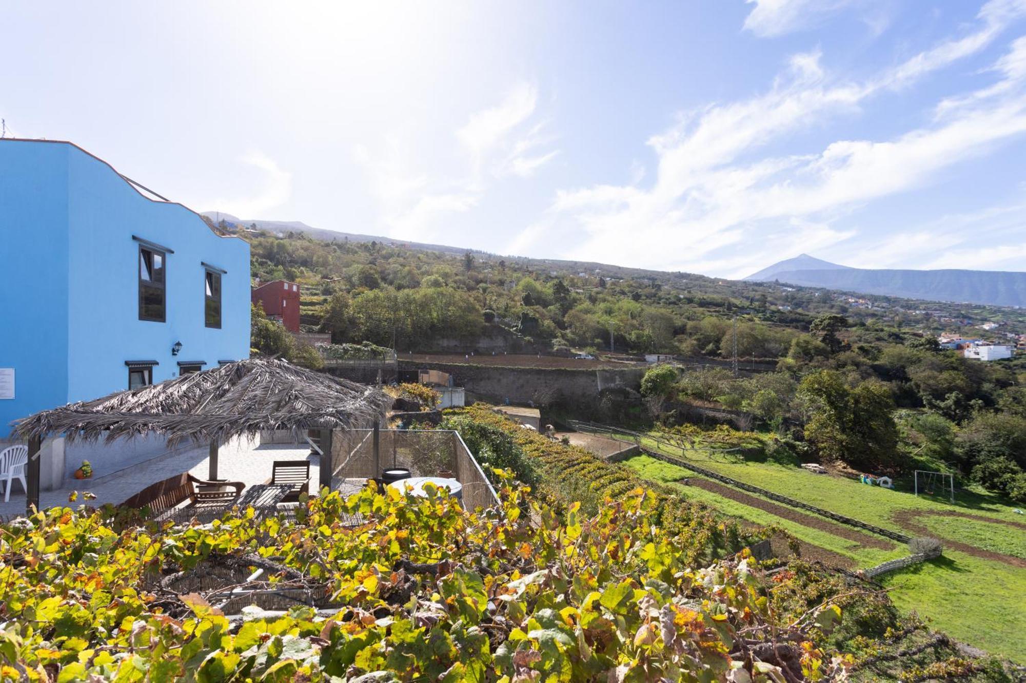 Ek Drago Finca El Milagro La Orotava Exterior photo