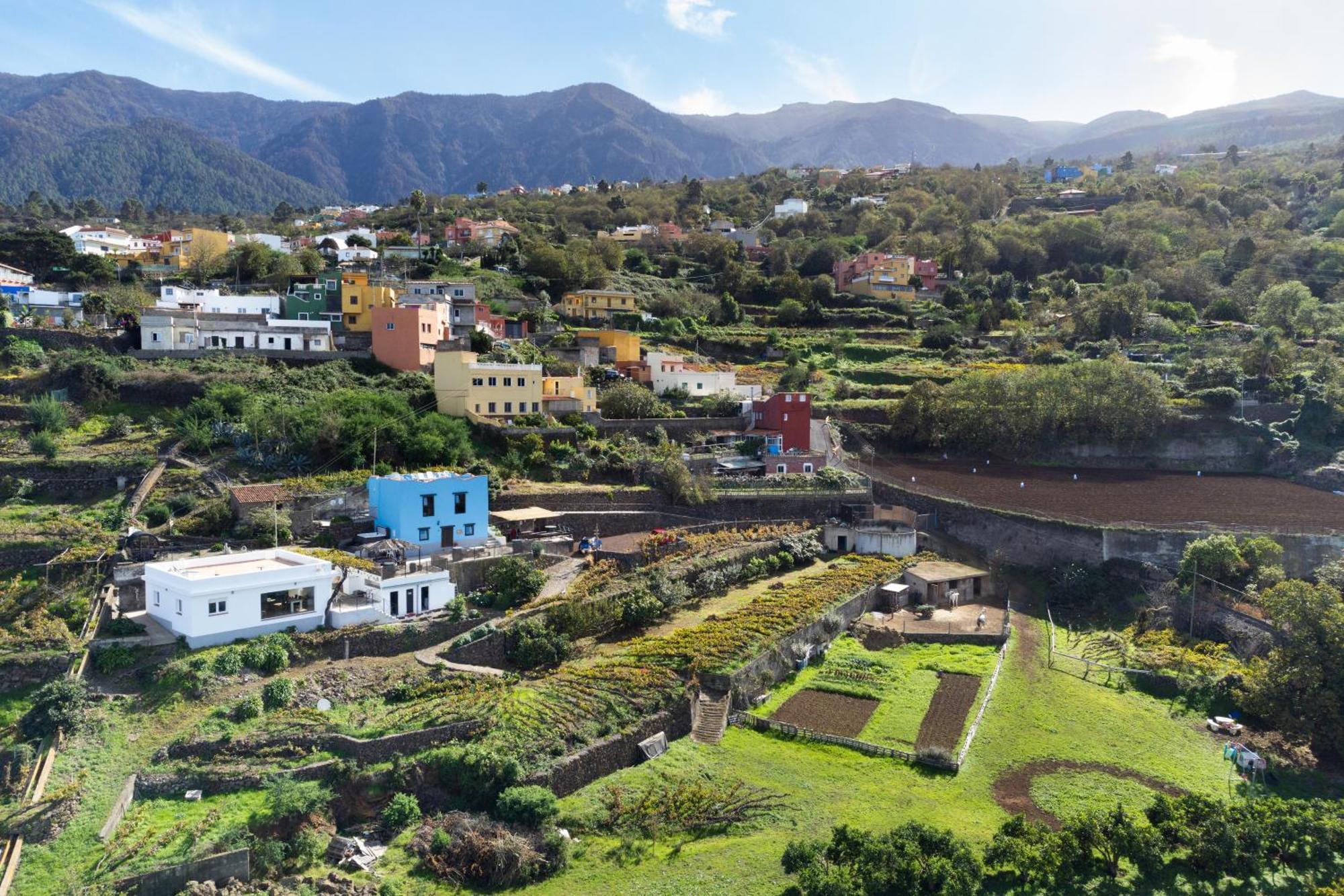 Ek Drago Finca El Milagro La Orotava Exterior photo
