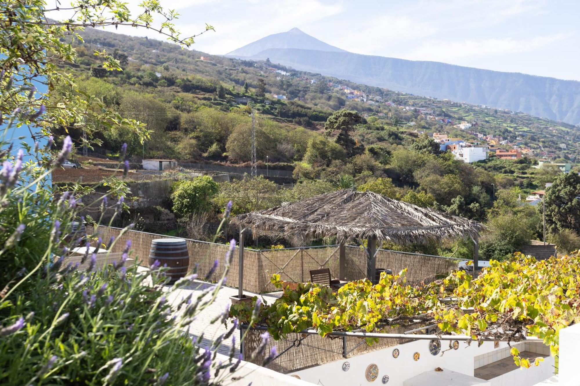 Ek Drago Finca El Milagro La Orotava Exterior photo