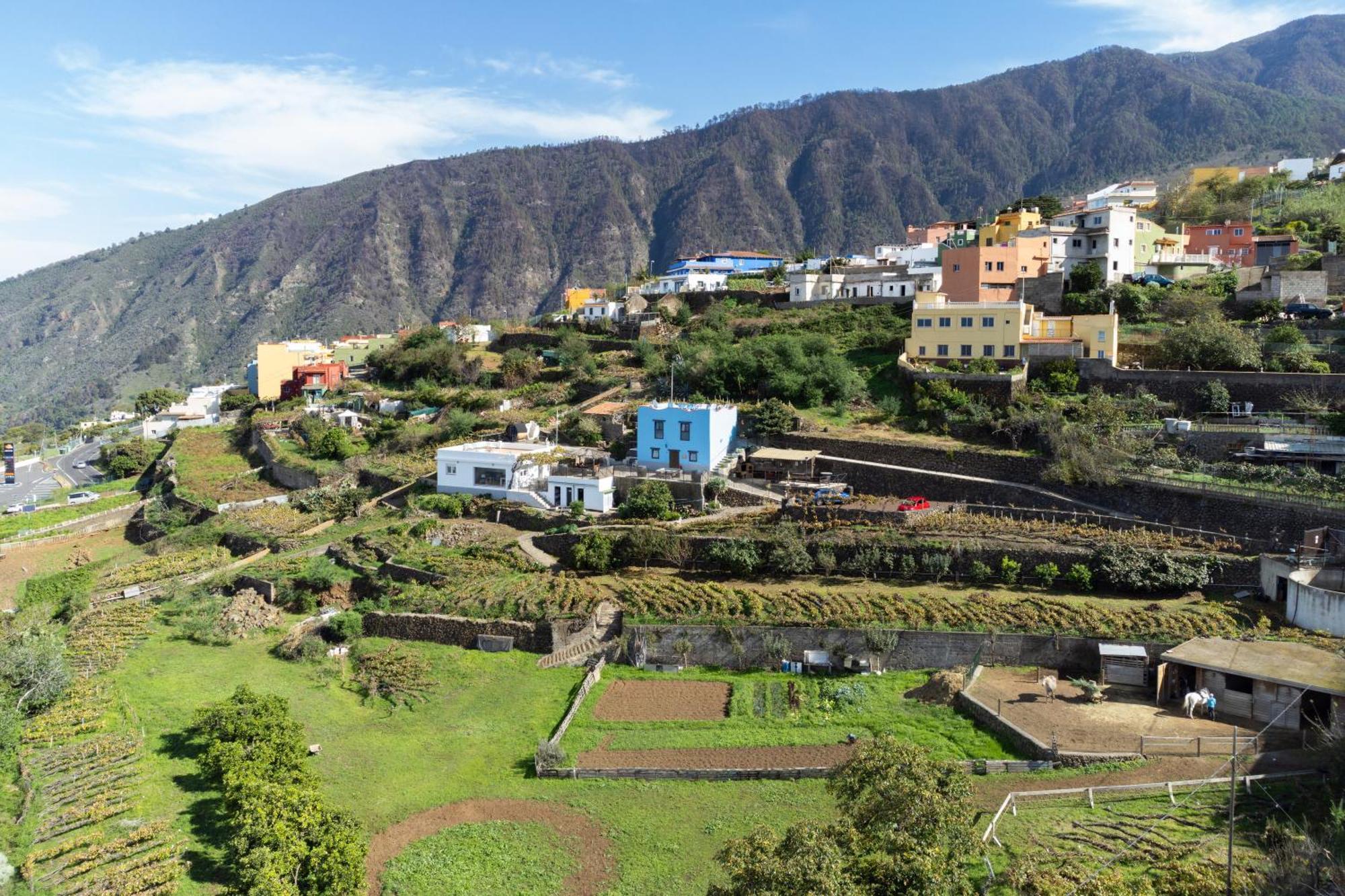 Ek Drago Finca El Milagro La Orotava Exterior photo